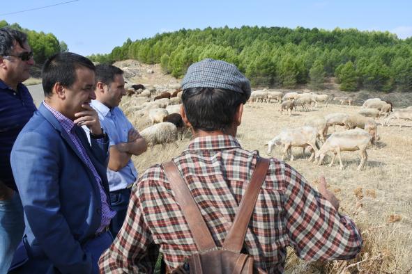 Agricultores y ganaderos de Castilla-La Mancha recibirán una nueva ayuda económica de 5 millones de euros 