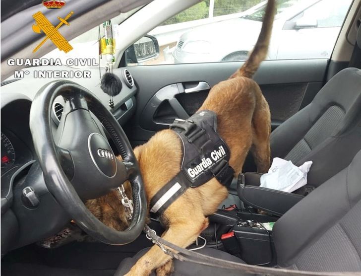 Detenido en Hellín tras detectar un perro de la Guardia Civil que llevaba dos kilos de hachís ocultos en su coche