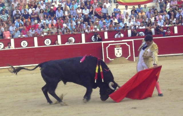 Rubén Pinar, ante su corrida en solitario en Albacete: 'Quiero mostrar que no soy sólo un torero de capacidad y oficio'