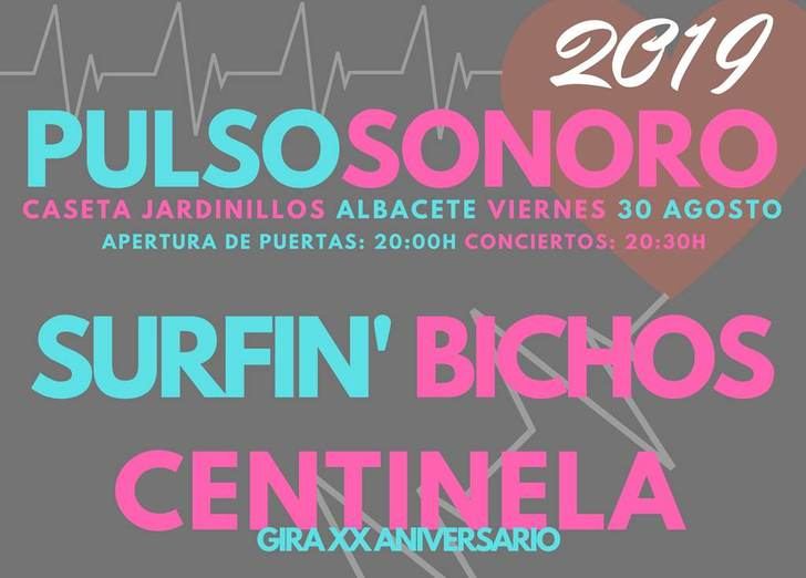 El día 30 de agosto, con entrada libre, llega la cuarta edición del Festival de Música de Albacete ‘Pulso sonoro’