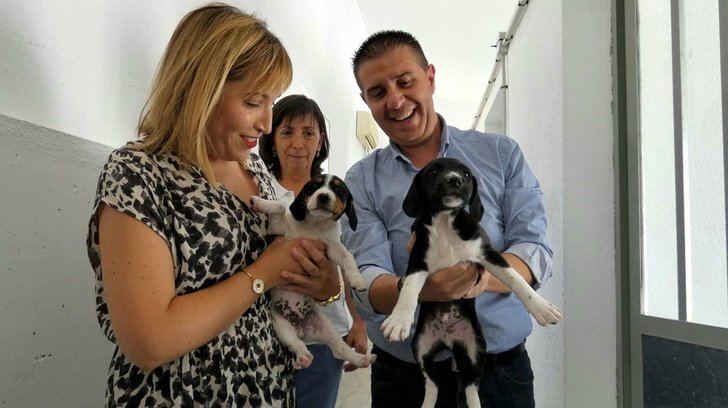‘Emperrados’, de la Diputación de Albacete, referente en sensibilización con la población canina como protagonista