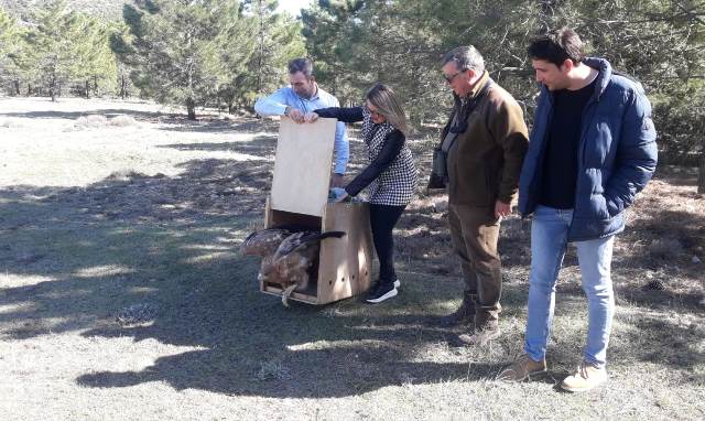 El monte ‘Oriñuela’, en San Pedro (Albacete), colabora en la recuperación y protección del Águila Imperial Ibérica