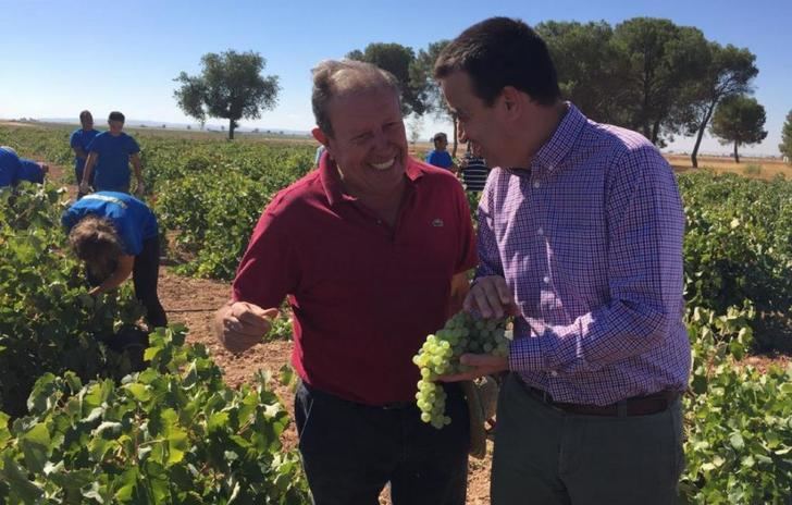 La vendimia de en Castilla-La Mancha tendrá una uva de mayor grado y será de entre 20 y 30 millones de hectolitros