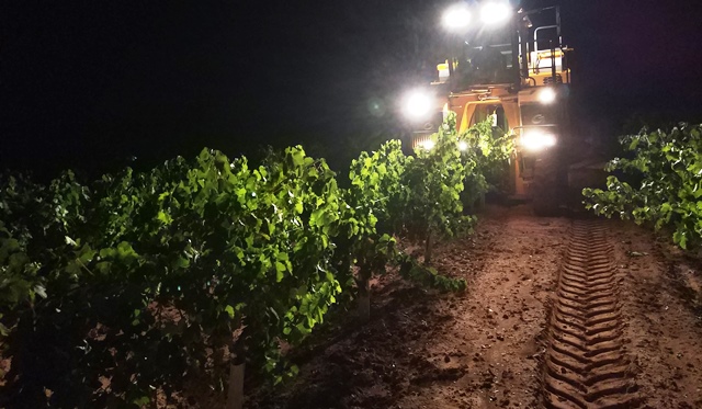 Asaja alerta a los agricultores de Castilla-La Mancha para que no entreguen uva sin contrato